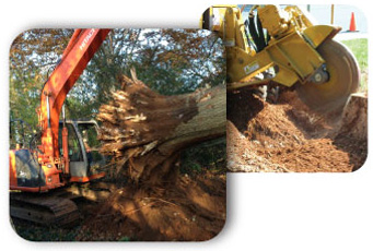 Stump Removal CT, Stump Removal Services CT, Property Clearing Services CT, Wood Chipping CT